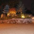 Photo #5: Low Voltage Outdoor Landscape Light Install