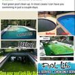 Photo #1: Green Pool Recovery $99.00