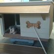 Photo #2: Custom built Doghouses r $100