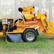 Photo #1: Stump grinding - best prices in town!