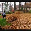 Photo #1: Smooth Edge Leaf Removal