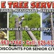 Photo #1: EMERGENCY TREE SERVICE 24/7 WORK GUARENTEE - Lic #1004927