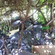 Photo #1: garbage & rubbish removal lowest prices guaranteed