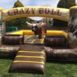 Photo #1: Mechanical Bull
