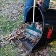 Photo #10: Lawn Care Gardener Gardening Service