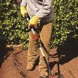 Photo #11: Lawn Care Gardener Gardening Service