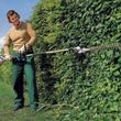 Photo #12: Lawn Care Gardener Gardening Service