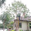 Photo #8: NEED A TREE ESTIMATE?C ALL US,LICENSED&INSURED