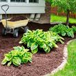 Photo #14: JT LANDSCAPING SERVICES