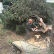 Photo #2: Garcia's demolition/ tree service and hauling