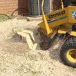 Photo #3: Complete Tree Service, Trimming, Removals, Stump Grinding