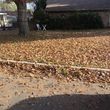 Photo #11: $25Lawn maintenance in Denton