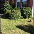 Photo #14: $25Lawn maintenance in Denton