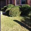 Photo #16: $25Lawn maintenance in Denton