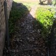 Photo #21: $25Lawn maintenance in Denton