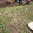 Photo #15: Bobcat work, landscaping,Hauling,lot clearing/leveling.