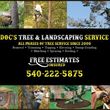 Photo #1: 🍂Doc's Tree & Landscaping Service • Gutter Cleaning • Free Estimates