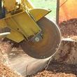 Photo #1: Stump Grinding For Less