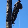 Photo #11: Crowther Tree Service. 