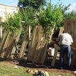Photo #21: 🌕 🌕 SHEETROCK/ DRYWALL REPAIR (SMALL PATCHES) and WOOD FENCES