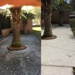 Photo #6: Pressure Wash pool patio home concrete roof deck fence Free Estimates!