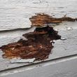 Photo #15: CARPENTRY:ALL TYPES OF SIDING |REPLACEMENTS|WOOD ROT|FASCIA|SOFFITS|T1