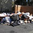 Photo #20: Violations, Clean Ups, Debris Removal, Landscaping, Trash Outs, Plus
