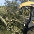 Photo #11: Land Grading, Tractor Services, Tree Trimming, Etc.