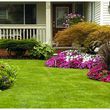 Photo #1: $45 Full Lawn Care Service