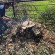 Photo #12: Junk removal/ Tree trimming/Stump grinding/Hauling