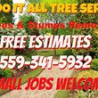 Photo #1: We Do It All Tree Service, Trimming, Topping, Removal & Stump Grinding