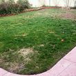 Photo #7: PARKER LANDSCAPE & MAINTENANCE