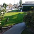 Photo #10: ALL GREEN LANDSCAPING " FREE ESTIMATES "