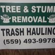 Photo #1: Tree Stump Removal & Trash Hauler