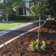 Photo #6: E&H Landscaping and Demo
