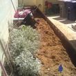 Photo #5: Landscaping Sod Install or Removal, Sprinklers, Synthetic, Pavers.....