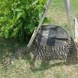 Photo #6: Melebecks Tree Service specializing in stump grinding