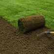 Photo #2: Sod Removal /Installation- Fast & Friendly