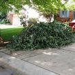 Photo #6: Haul and Recycle - BRUSH PILES -YARD WASTE-TREE LIMBS-WOOD DECK