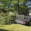 Photo #8: Haul and Recycle - BRUSH PILES -YARD WASTE-TREE LIMBS-WOOD DECK
