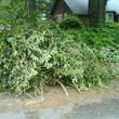 Photo #10: Haul and Recycle - BRUSH PILES -YARD WASTE-TREE LIMBS-WOOD DECK