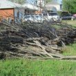 Photo #12: Haul and Recycle - BRUSH PILES -YARD WASTE-TREE LIMBS-WOOD DECK