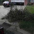 Photo #21: Haul and Recycle - BRUSH PILES -YARD WASTE-TREE LIMBS-WOOD DECK