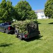 Photo #24: Haul and Recycle - BRUSH PILES -YARD WASTE-TREE LIMBS-WOOD DECK
