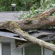 Photo #1: DO YOU NEED TREE WORK AFTER THE STORM?