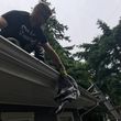 Photo #2: Gutter Cleaning, Window Washing, Power Washing, Moss removal 