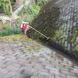 Photo #4: Gutter Cleaning, Window Washing, Power Washing, Moss removal 