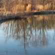 Photo #1: Midwest Custom Ponds & Excavating