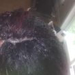 Photo #22: 50$ CROCHET,FAUX LOCS,BRAIDS....