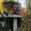 Photo #1: STUMP GRINDING & TREE SERVICE